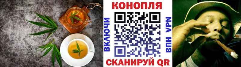 где найти   Куровское  Cannafood конопля 