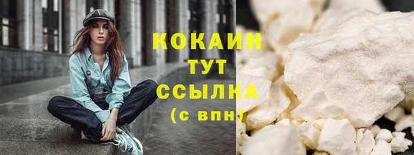 шишки Медногорск