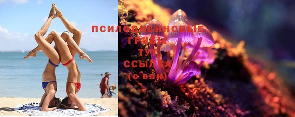 ГАЛЛЮЦИНОГЕННЫЕ ГРИБЫ Магас