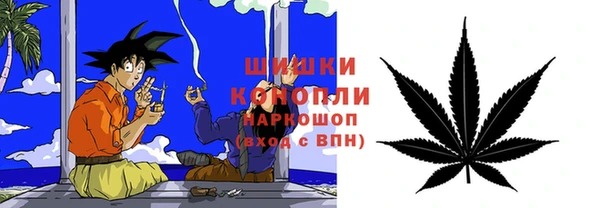прущие грибы Магадан