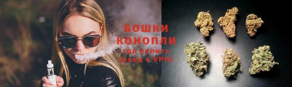 шишки Медногорск