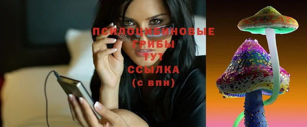 шишки Медногорск