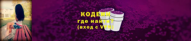 шишки Медногорск