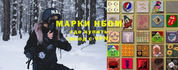 шишки Медногорск