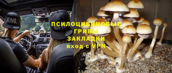 ГАЛЛЮЦИНОГЕННЫЕ ГРИБЫ Магас