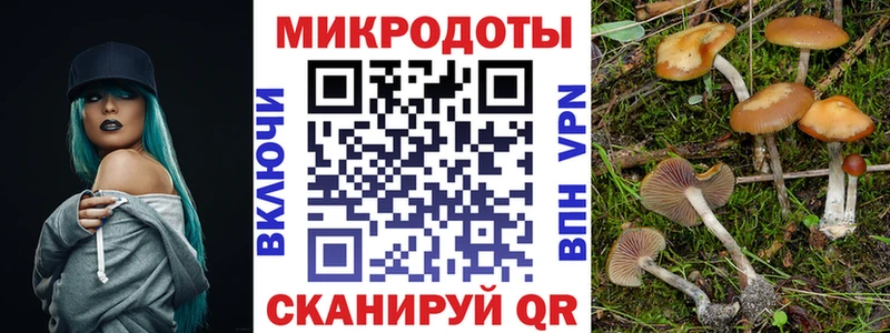 Галлюциногенные грибы Magic Shrooms  mega ссылки  Куровское 